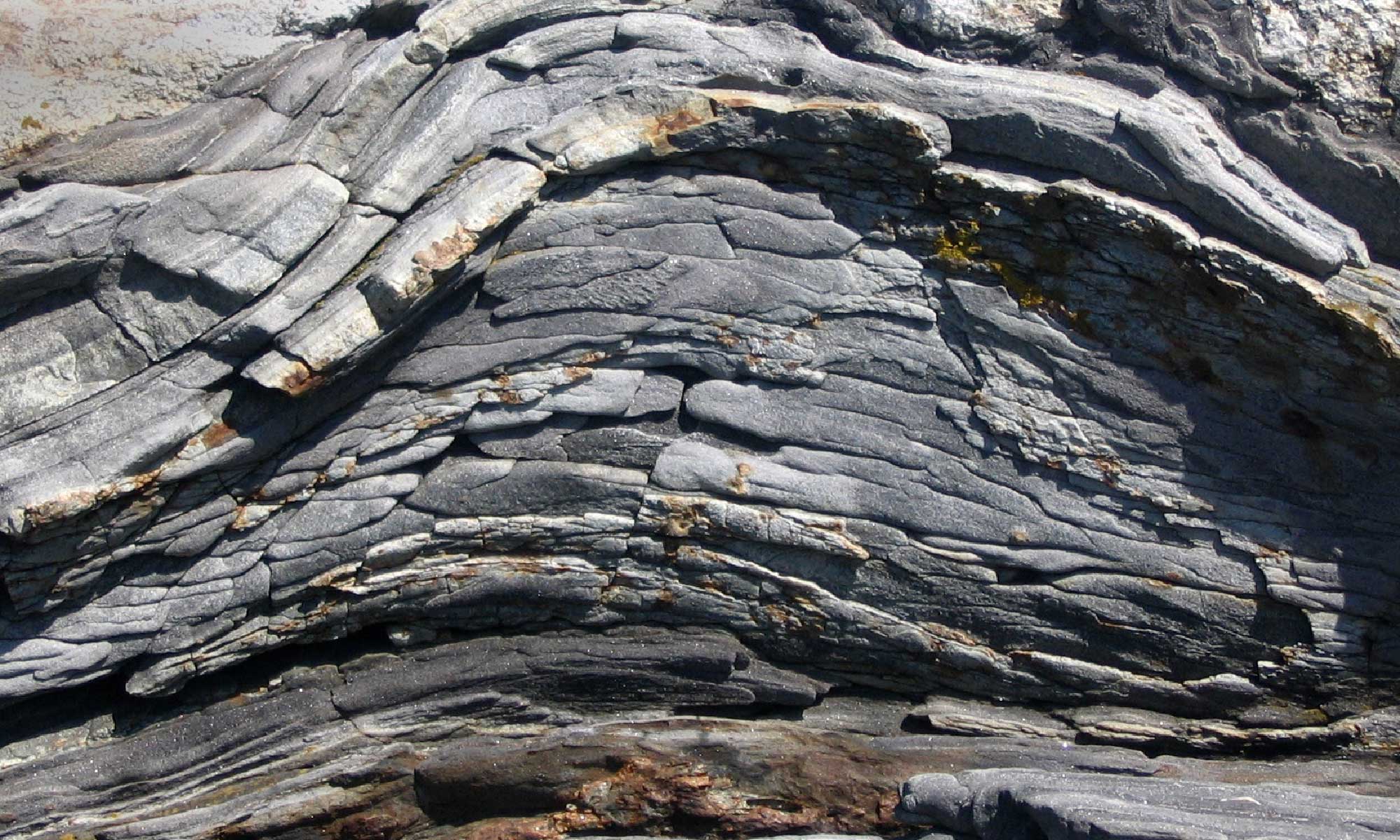 Starta of rock on Maine shore